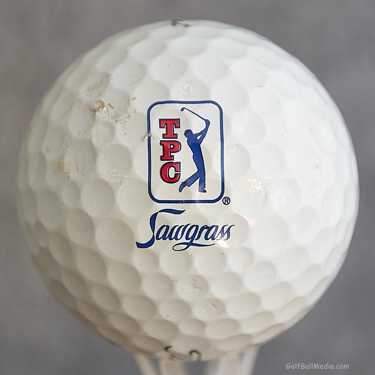 TPC Sawgrass - Tournament Players Club - Ponte Vedra Beach, FL