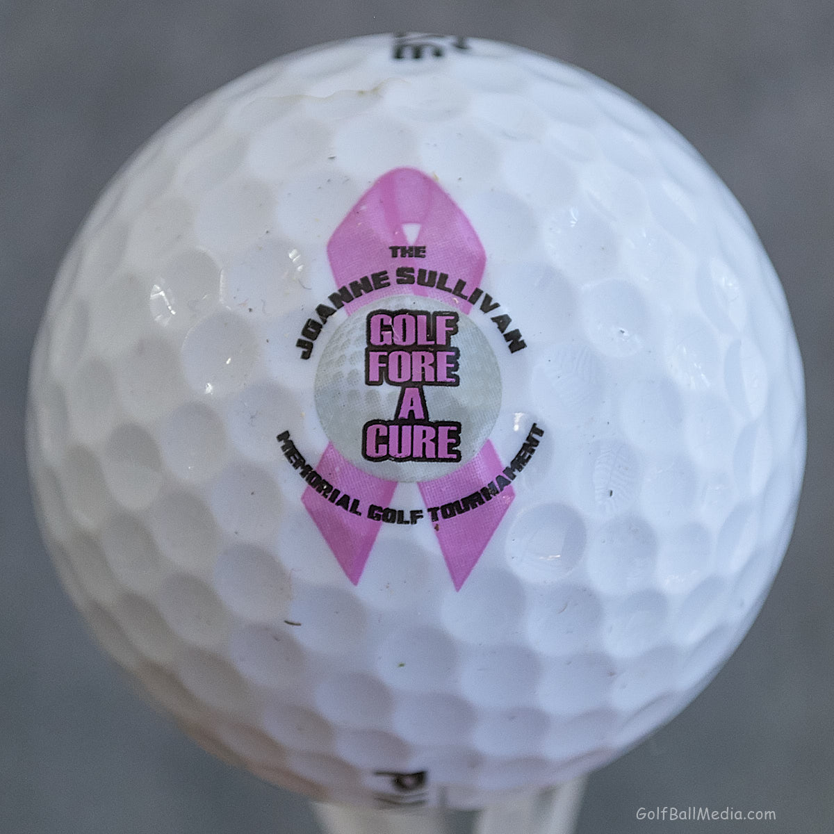 Joanne M. Sullivan Golf For a Cure Golf Tournament - Framingham, MA