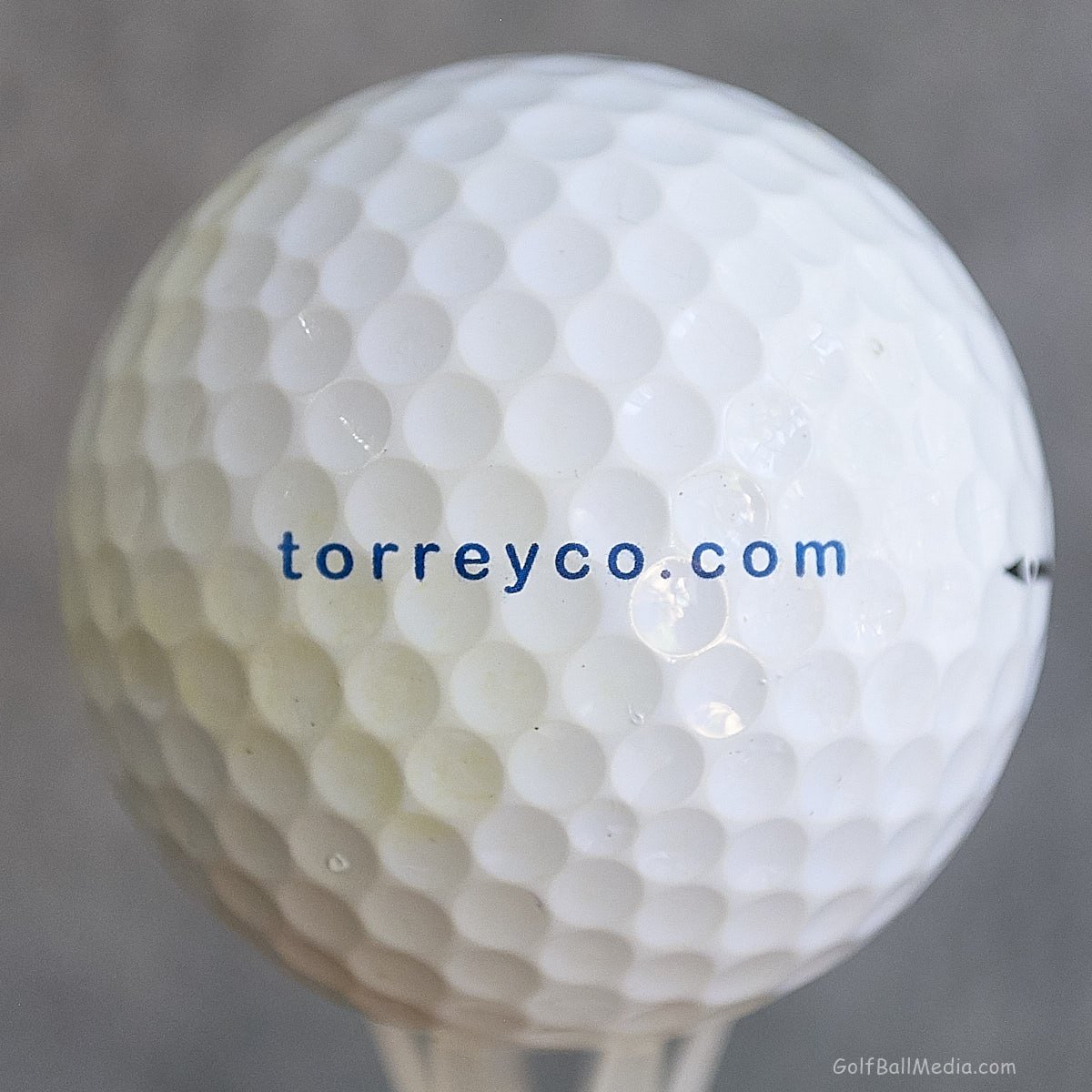 Torreyco.com - General Contractors Construction Management - Attleboro, MA